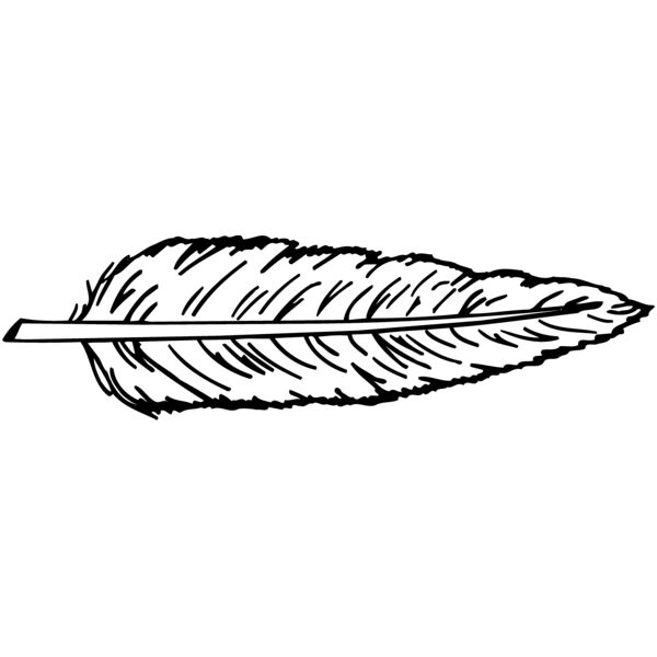 FEATHER Thumbnail
